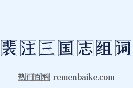 裴注三国志组词是什么意思的图片